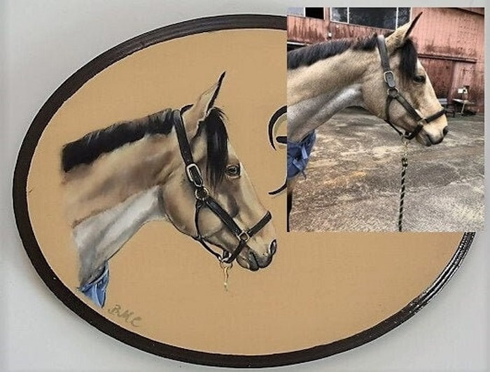 Realistische Boxenschilder Pferdeporträt nach Fotovorlage 