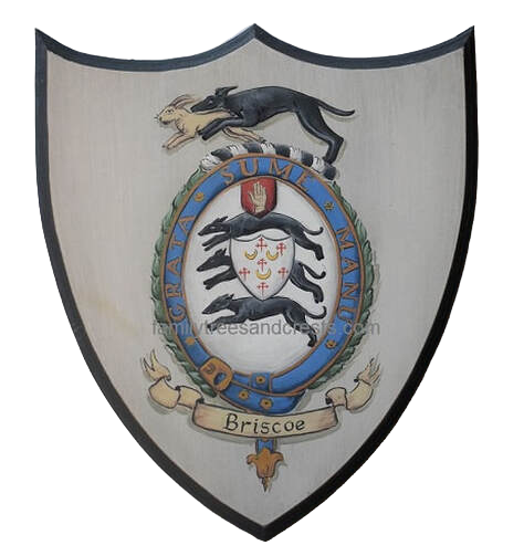 Holz Wappenschild mit Briscoe Wappen