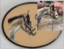 Pferdeboxenschilder oval, mit handgemalte Pferdeporträt