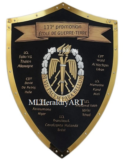 Militärschilde- Insignia und Armeeabzeichen- Auszeichnung