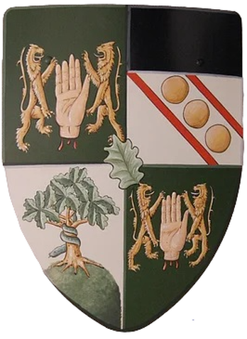 Mittelalter Schild Wappen - OReily