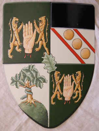 Mittelalter Schild Wappen - OReily