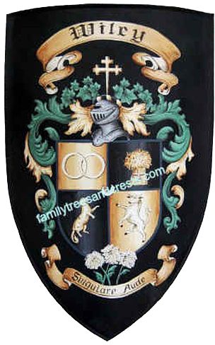 Mittelalter Schild Familienwappen Wiley